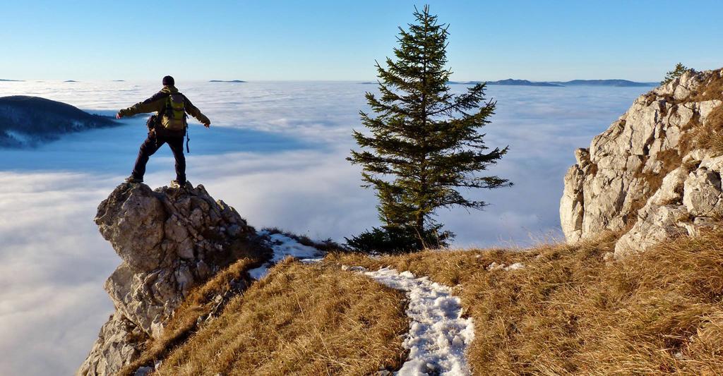 Domcek Na Orave Daire Habovka Dış mekan fotoğraf