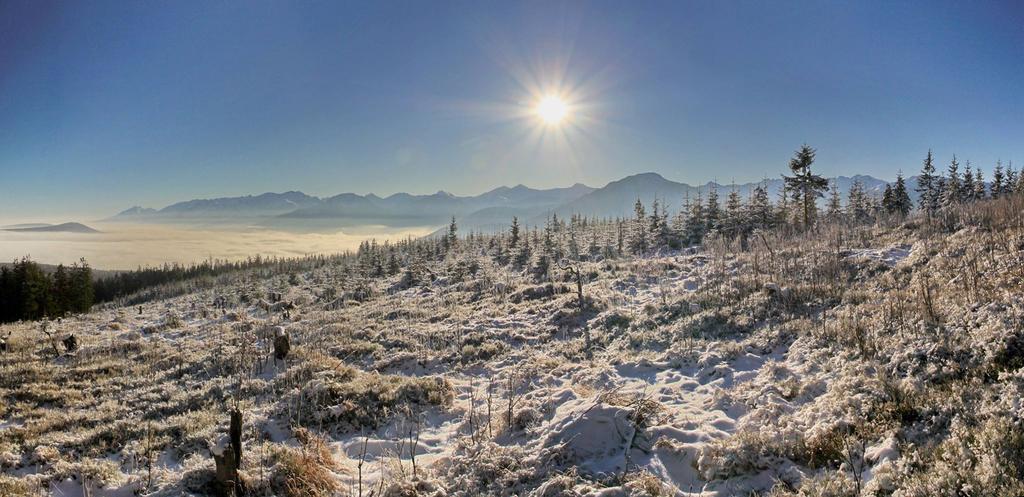 Domcek Na Orave Daire Habovka Dış mekan fotoğraf